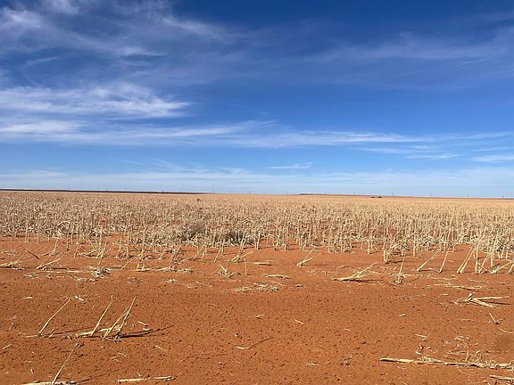 3rd image of Farm To Market Rd #303