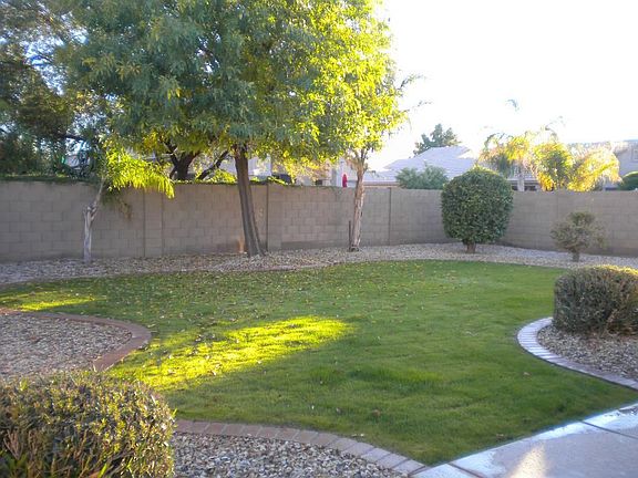 Back yard