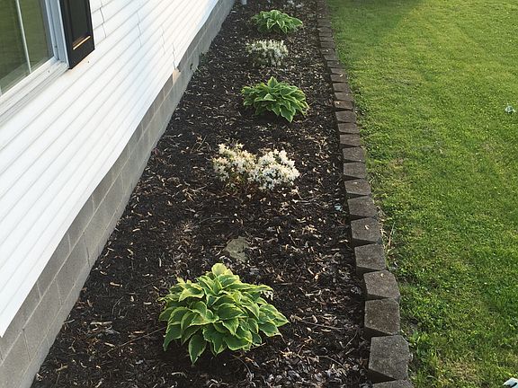 Low maintenance landscaping