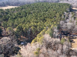 0 Ellison Rd, Tyrone, GA 30290