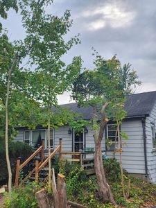 2061 Buckley Rd, Libertyville, IL, 60048