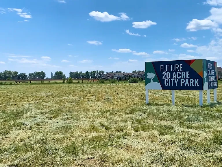 The 20 acre open green space that is great for walks now, but will eventually be a park!