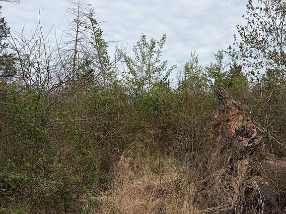 2nd image of County Road 3309 Pope Rd #1