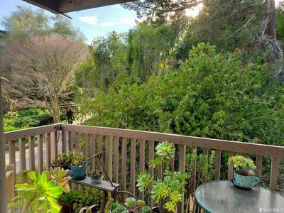 6230 Shelter Creek Ln, San Bruno, CA, 94066