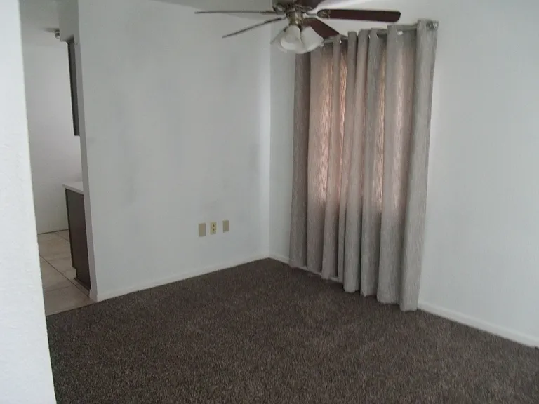 915 Shirley Ann Trl #915 — Photo 8