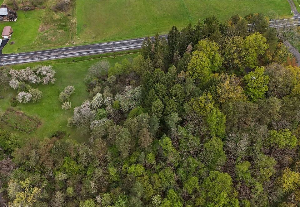 7th image of 12979 Bullis Rd