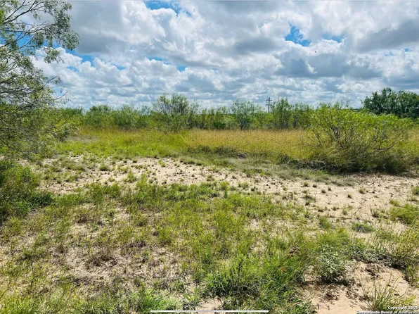 132 County Road 135 LOT 321, George West, TX 78022