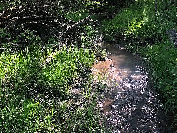 4th image of Harmony Creek Rd