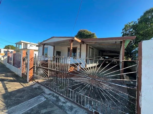 173 Amadeo St, Salinas, PR 00751