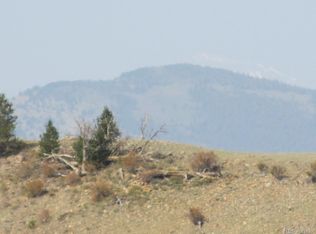 Chimapavi Trl, Hartsel, CO 80449