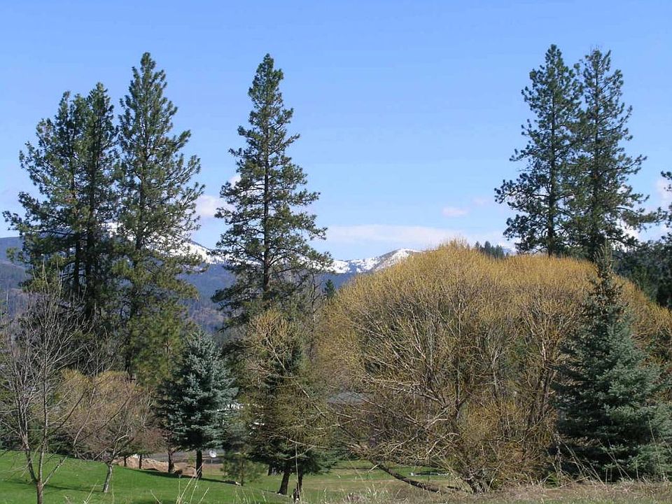2nd image of 308 Dawson Rd
