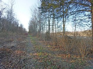 2919 S Bantam Rd, Bethel, OH 45106