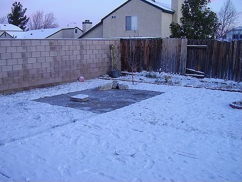 Snowey back yard