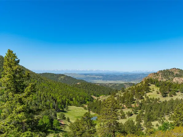 5165 County Rd 1, Florissant, CO 80816