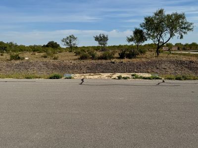 295 lobo LOT 10, Hondo, TX, 78861