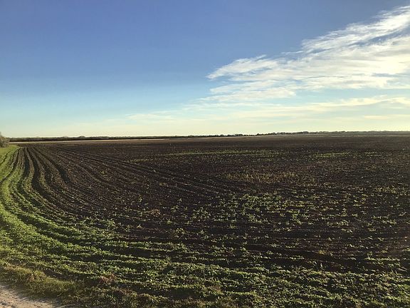 2nd image of 123 County Road 302