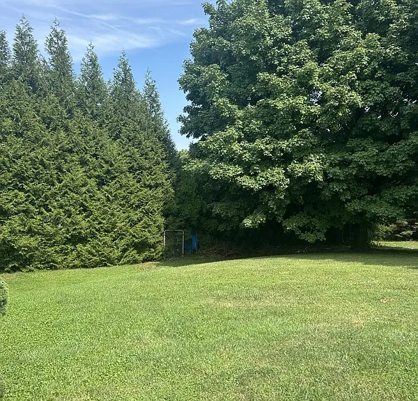 302 Hillside Dr #3 — Photo 18