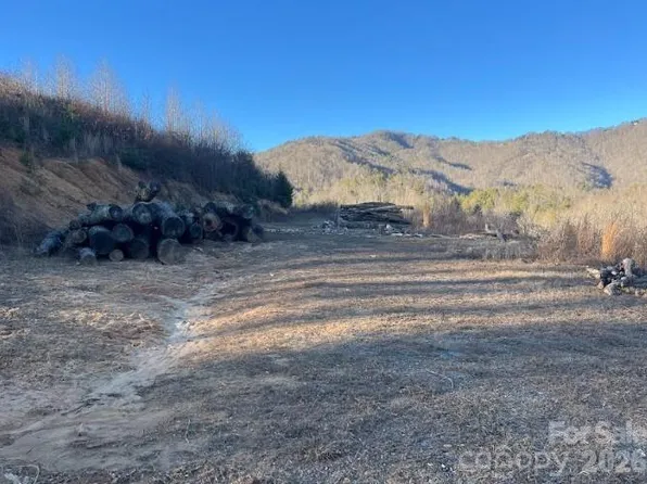 0 Shelton Laurel Rd, Clyde, NC 28721