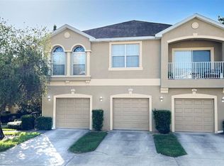 9008 Moonlit Meadows Loop, Riverview, FL 33578