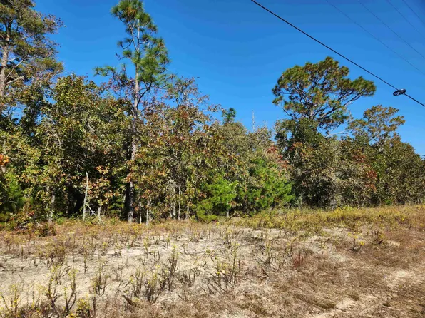 NE State Route 65 Rd, Hosford, FL 32334