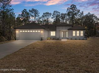 13088 Velvet Scoter Ave, Brooksville, FL 34614