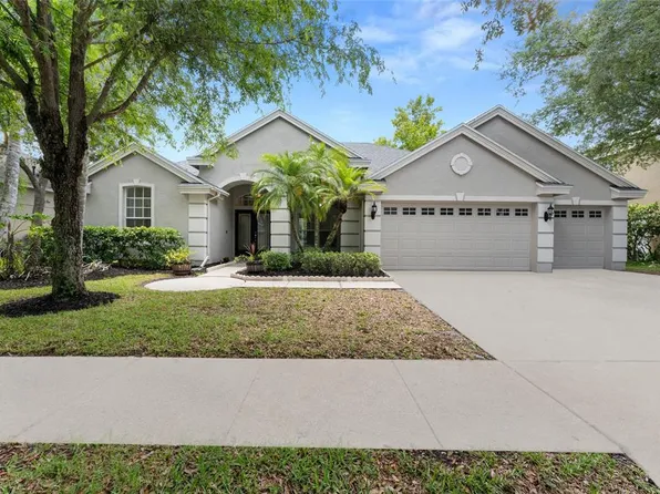 19239 AUTUMN WOODS AVENUE, TAMPA, FL 33647