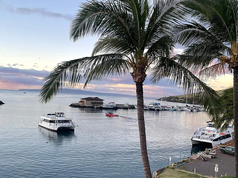 Watch the tour boats load up, take off and return in the harbor from lanai or primary bedroom.