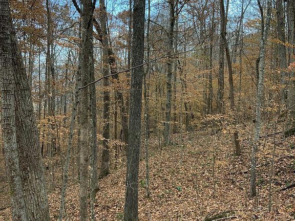 3rd image of 0 Bobcat Ln E