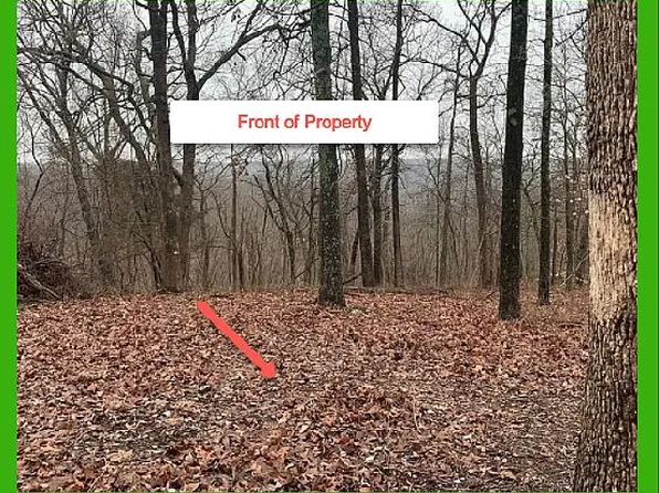 Cove Ln, Eureka Springs, AR 72631