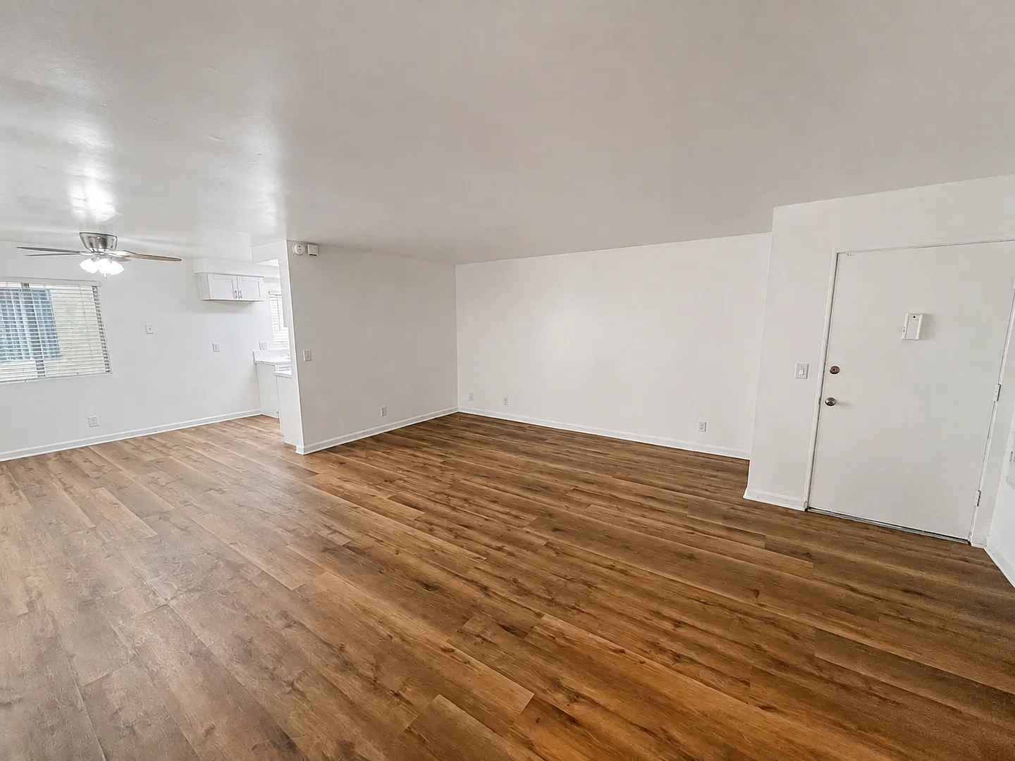 343 Steckel Dr — Photo 4