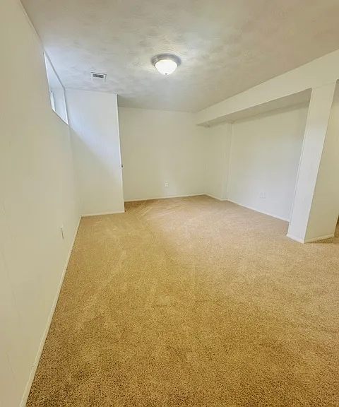 LOWER LEVEL FAMILY ROOM