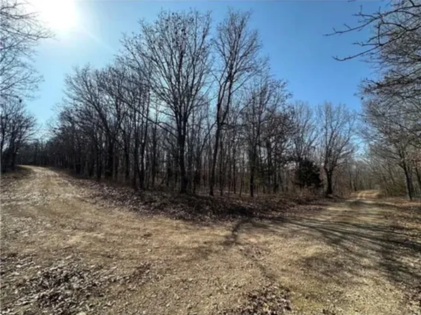 Lots 3155 3156 3101 Rolfs Pl, Edwards, MO 65326