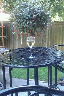 Wine tasting anyone?