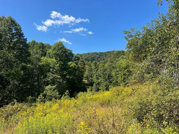 Hamilton Ridge Rd, Alderson, WV 24910