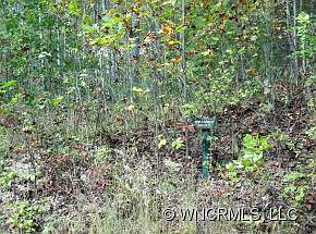 2nd image of 527 Overlook Park Dr
