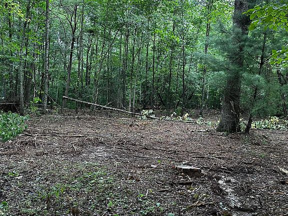 5th image of 1359 Brown Creek Dr