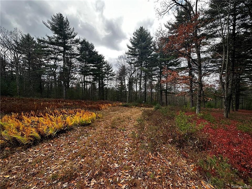 1474 State Route 42, Forestburgh, NY 12777 MLS H6276346 Zillow