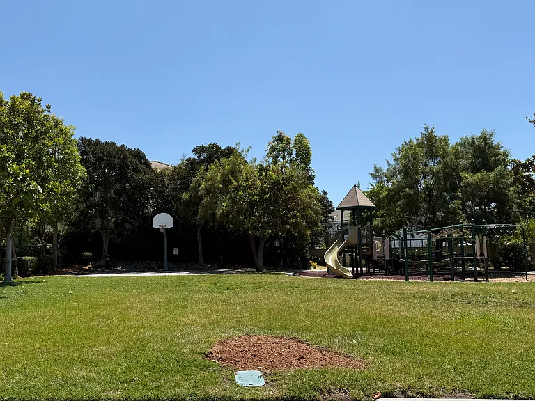 community basketball / playground