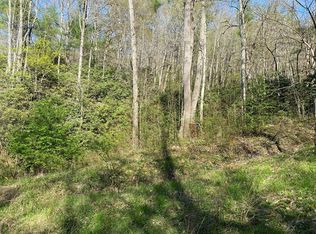 Wayne Laws Rd, Butler, TN 37640