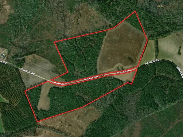 TBD Pearlie Dr., Dillon, SC 29536