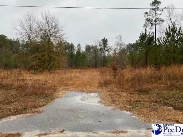 Branchview Rd, Hartsville, SC 29550