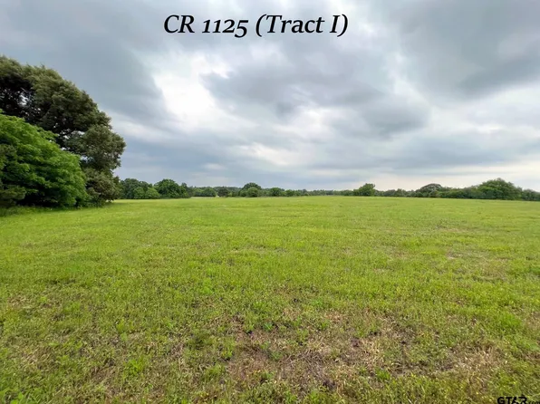 TRACT County Road 1125 #I, Tyler, TX 75704