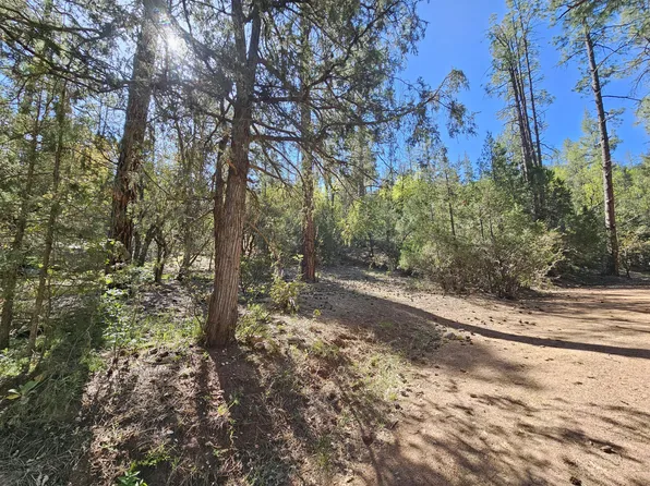 3054 N Neal Dr, Payson, AZ 85541