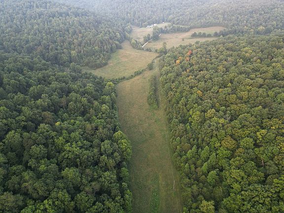 8th image of 597 Lost Hollow Rd