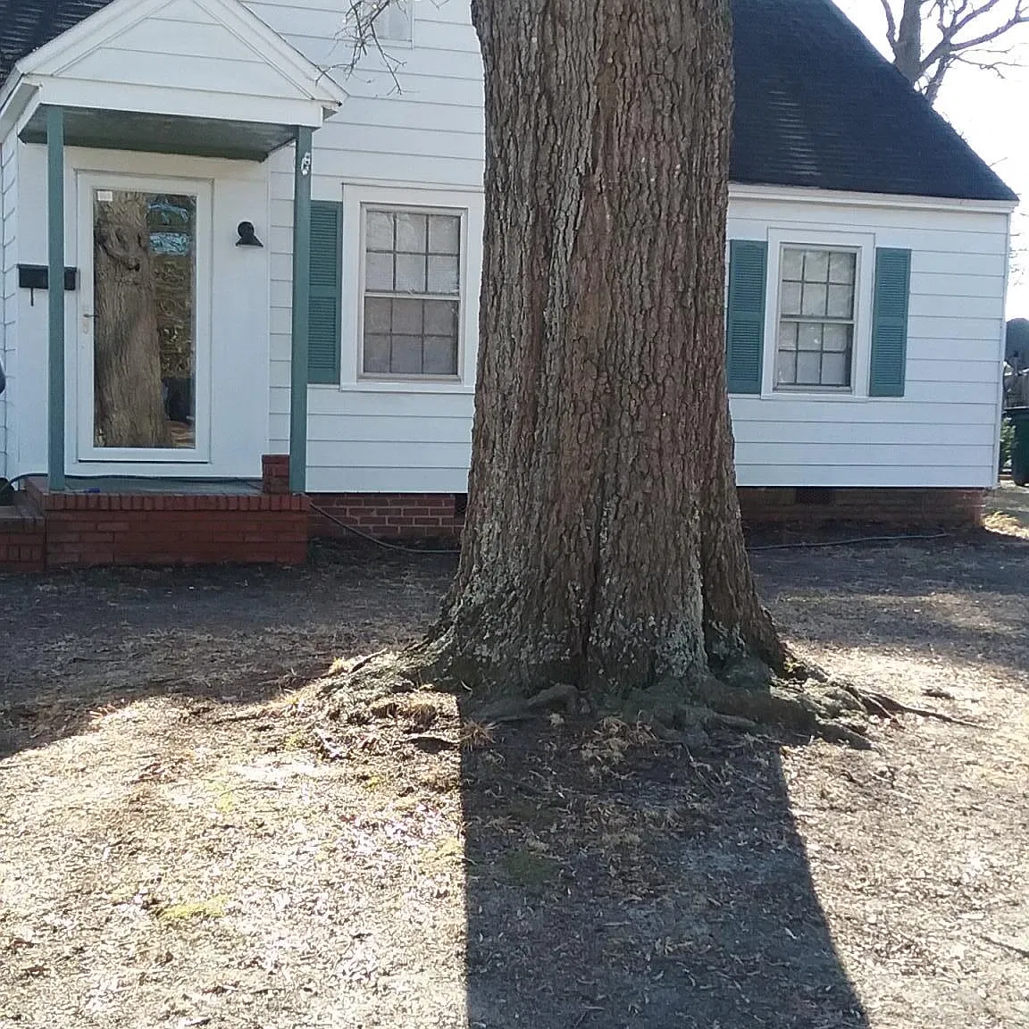 2 bed, $800 — Photo 1