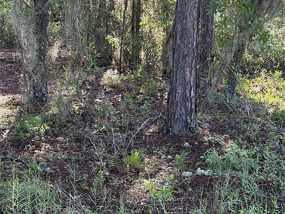 5th image of ALASKA AVENUE LOT 29