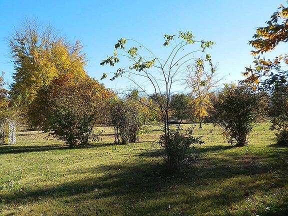 2nd image of 742 County Road 1390 E