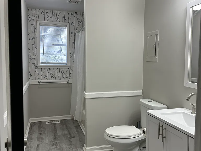 Hall bathroom view 1