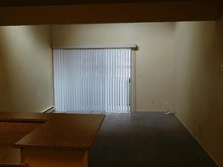 1333 N Camino Alto Rd — Photo 15