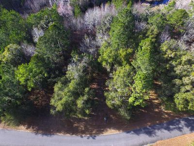 LOT 17 Blue Marlin Dr NE, Townsend, GA, 31331